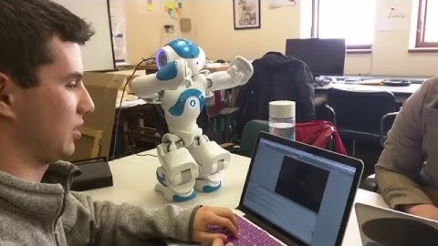 CPSC473 - Nao driving