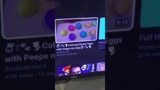 Coloring Easter eggs with peeps my dog