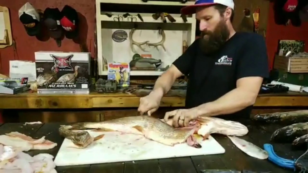 Northern Pike How to Y bone a pike. Cleaning a northern pike. YouTube