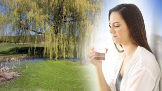 Algae Corner: Taste & Odor Issues Associated with Algae