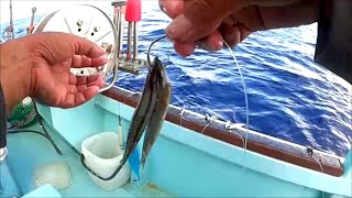 Japanese style, Deep drop bottom fishing 