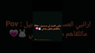 ارانبي الحلوين ???? shortsvideo shortvideo جيش_الارنوبه 2023 ارانب العراق ترند