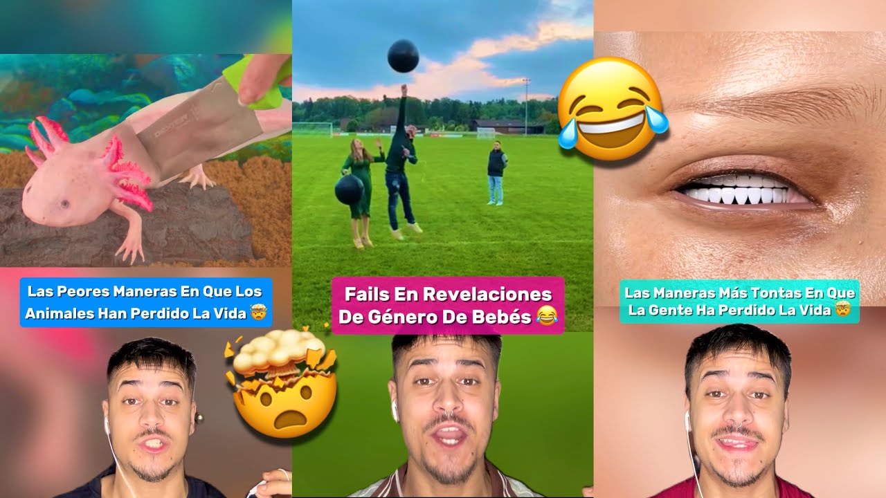 Los MEJORES TIKTOK 2025 Dani Itss 😮 #2 