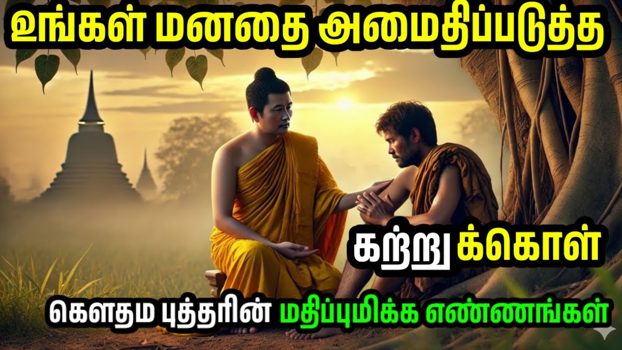 50 வயதிற்குப் பிறகும் இளமைத் திறனைப் பராமரிக்க 9 நிரூபிக்கப்பட்ட குறிப்புகள் | சாணக்ய நிதி...