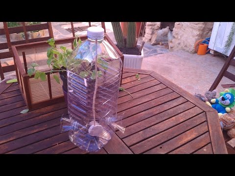 Trampa para insectos con botellas