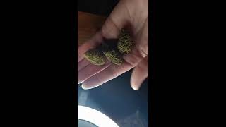 Jlittys Strawnana Premium THCa flower Review