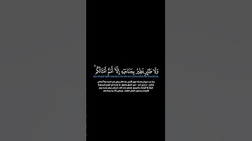 سورة الأنعام:الآية[٣٨] #القرآن_الكريم #الفرقان _#سورة_الأنعام#ياسر_الدوسري#القران_الكريم #قران_كريم