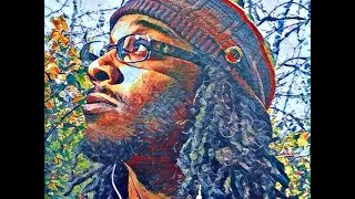 The 1-Drop Rule in the 2017 (18% too black)