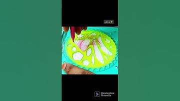 Spirograph colourful simple design |  #shorts #spirograph #viral #spirographart #viralshorts