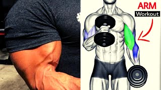 5 BEST BICEPS WORKOUT / musculation  biceps