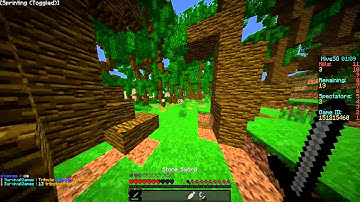 invis hax? | Hacker report #133