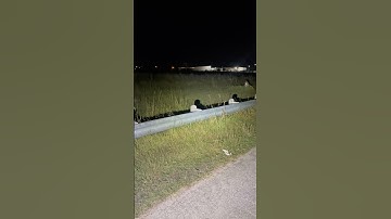 The HOTLIGH at night #edc #flashlight #tools #outdoors #bushcraft