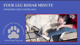 FourLegRehabMinute-HackForMeasuringHockFlexion