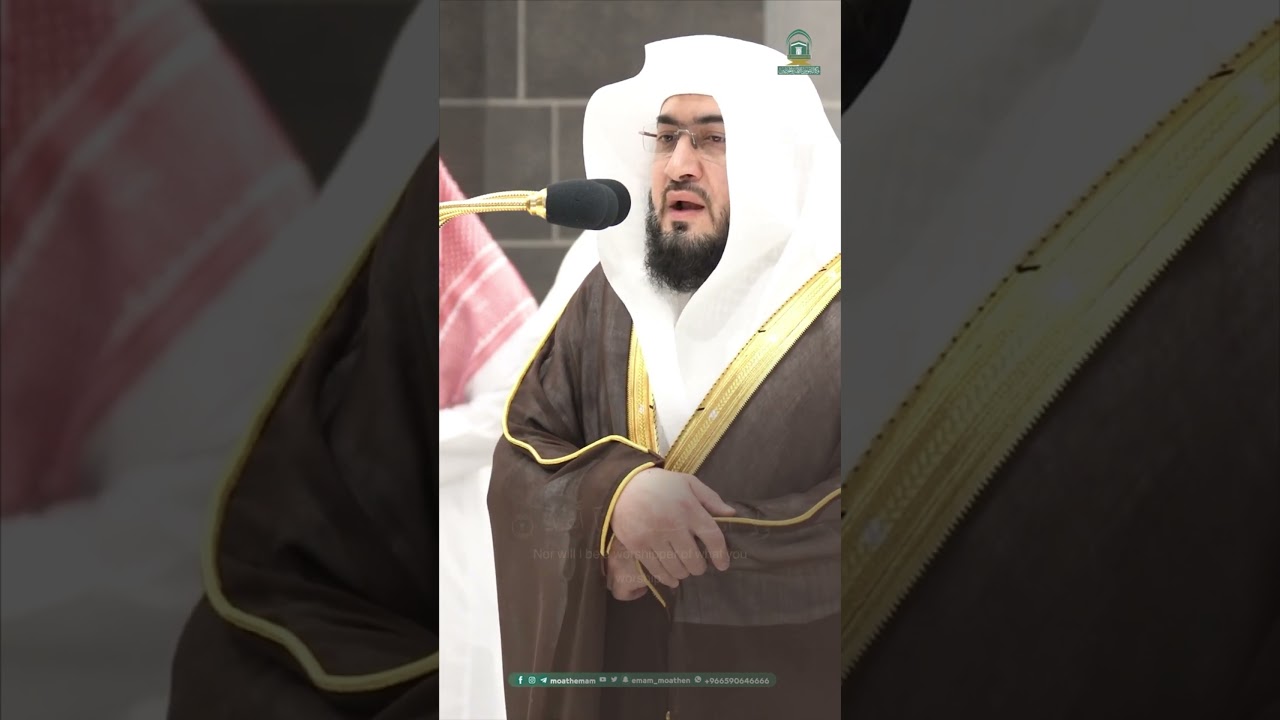 سورة الكافرون #بندر_بليلة