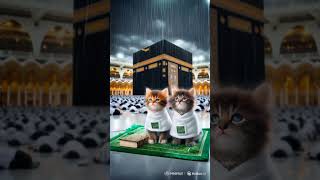 Download Lagu islamic prayer cat #cat #cute #nizamkucinglucu #cutecat #funny #shalawatjawa #cats #beautiful #ai MP3