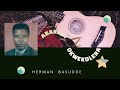 Abakazi okwekolera - Herman Basudde ( Music video )
