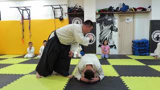 Aikido basic Mae ukemi