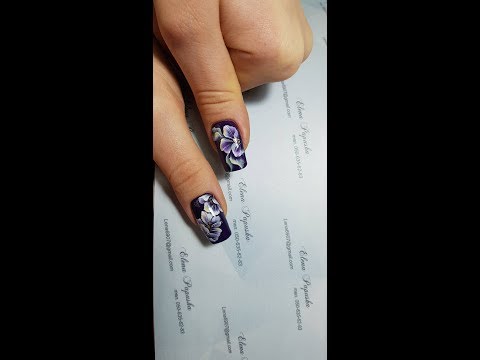 Елена папуша уроки видео