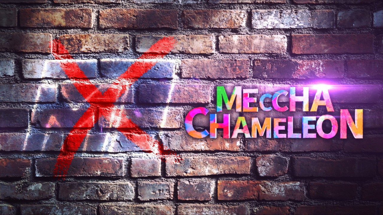Meccha Chameleon Proves I AM NOT Picasso