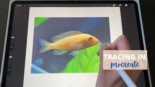 Tracing a photo in Procreate (how To step by step Tutorial)