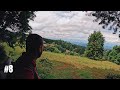 #8 | perdido entre los sonidos del bosque | silent vlog | 4K