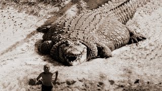 Это Самый Опасный Крокодил за Всю Историю