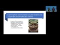 COP26 Health Pavilion session: Launch of Health Systems Global (HSG) Thematic Working Group (TWG)