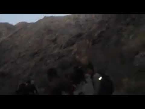 افغان نیازی  