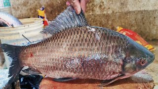 Amazing Kali Baush Fish Cutting Skills Live In Bd Fish Market Fish Cutting Skills