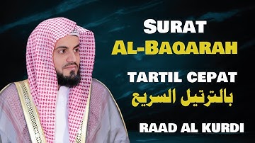 سورة البقرة بالترتيل السريع - الشيخ رعد الكردي | Surat Al-Baqarah tartil cepat