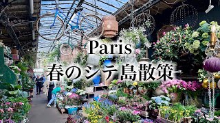 【パリ散歩】シテ島の定番スポットと再生しつつあるノートルダム大聖堂