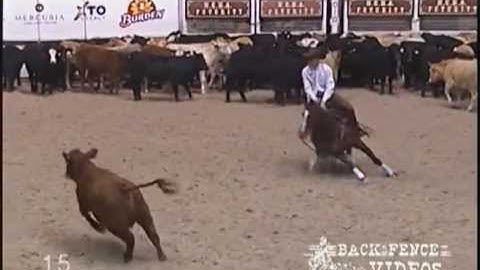 Reyvorce - Tarin Rice - NCHA Futurity 2010 Open Final