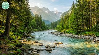 How I Let My Mind Rest 🌲 Peaceful Forest River Music