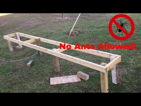 Tired Of Ants In Your Beehive? Build This Ant Free Hive Stand