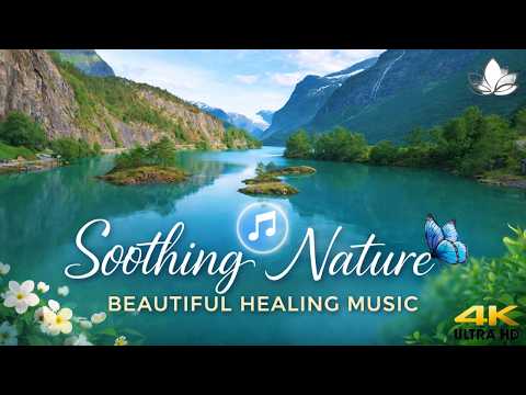 Soothing Nature 🍀 , With Beautiful Healing Music 🎵🍀🎄 4K