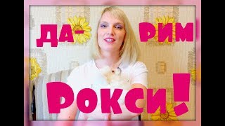 ПОДАРИЛИ ЩЕНКА! РОКСИ ЕДЕТ В НОВЫЙ ДОМ!!! ПОДАРИЛИ ЩЕНКА! РОКСИ ЕДЕТ В НОВЫЙ ДОМ!!!