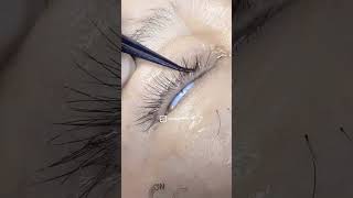 Пересадка ресниц обучение в Китае. Eyelash planting. Обучение пересадка ресниц.