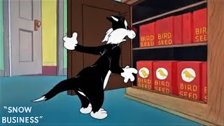 Snow Business 1953 Looney Tunes Sylvester And Tweety Cartoon Short Film Review And Recap