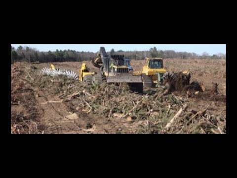 SAVANNAH LAND CLEARING: STUMP PULLING, ROTARY RAKING OFFSET DISKING FOR TIMBER TO FARM AND SOLAR