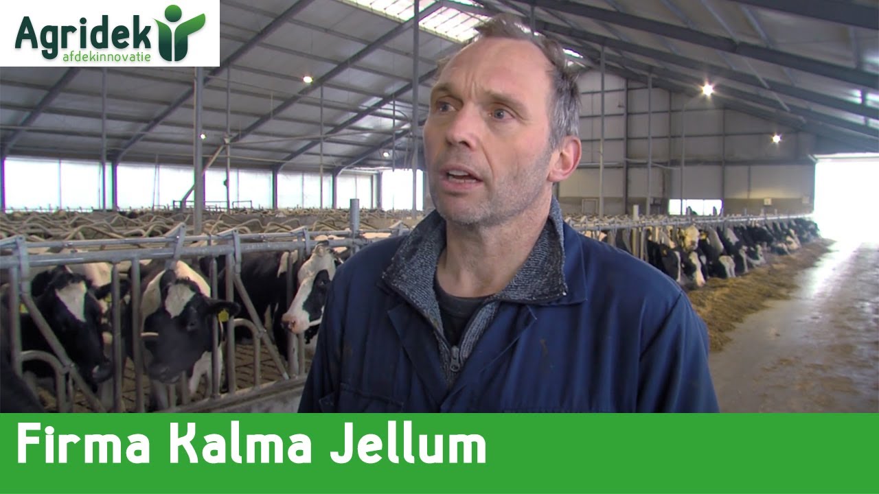 Agridek Lasagnekuil Afdeksysteem Kalma, Jellum