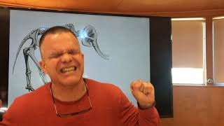 Megafauna: How to draw Elephants and Giraffe