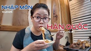 Download Lagu Nhập môn Hàn Quốc với bao điều mới lạ ✨ MP3