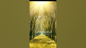 سعد الغامدي - سورة الماعون