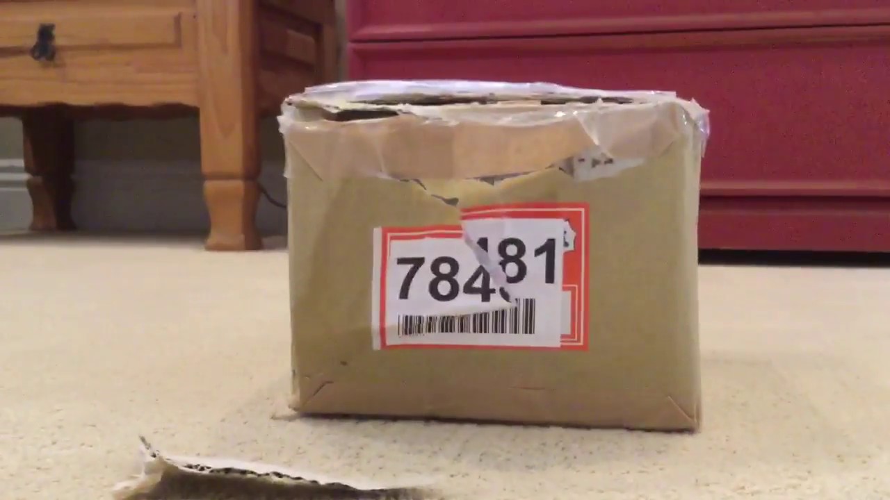 White Sega Toys I-Dog Unboxing (Japanese Model I-Dog) - YouTube