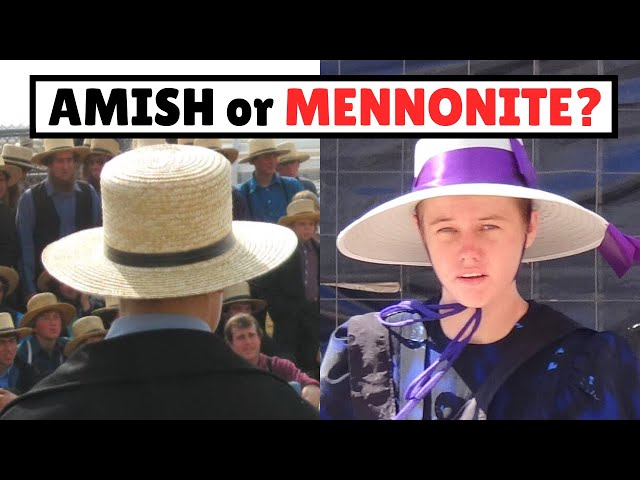 Whats the Difference between Amish And Mennonite
