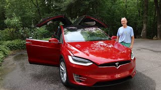 Day 1438 Tesla Ruby Special Tesla Cookie Delivery
