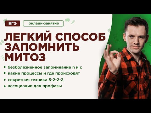 Как легко запомнить МИТОЗ | ЕГЭ Биология | Даниил Дарвин