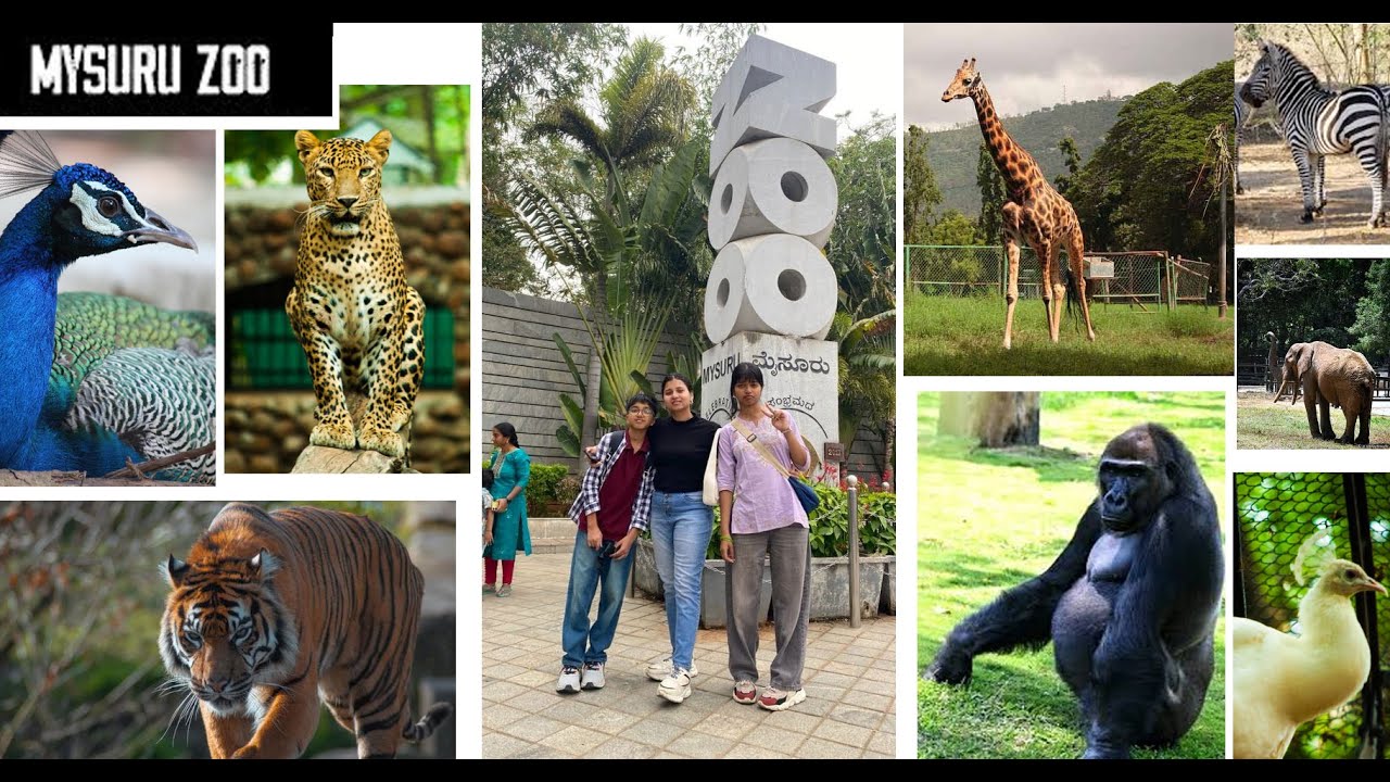 Mysore Zoo Park