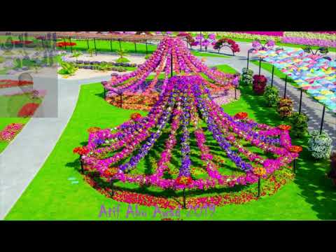 جديد الصادق النور 2019 انت يا قلبي المتيم