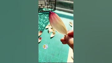 Corn Husk Art: Lotus & Dragonfly Magic! 🌿✨🪷🧚 #cornhuskart #craftstory #diy